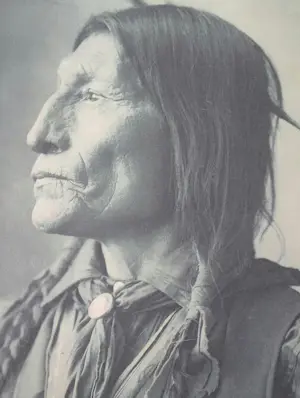 Frank Albert Rinehart - Chief Wolf Robe Koppermaandag prent 2000 kaufen? Bieten Sie von 50!