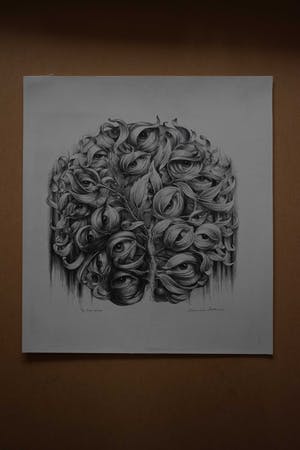 Hans van Dokkum - De ogenboom kopen? Bied vanaf 60!