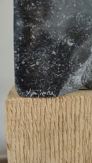 Francis Mean - Brons op bewerkte blauwe steen kopen? Bied vanaf 500!