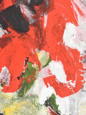 Charlotte Molenkamp - Vogel kopen? Bied vanaf 125!