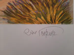 Ray Poirier - PROVENCE / KLEURLITHO / 76x56cm / kopen? Bied vanaf 35!