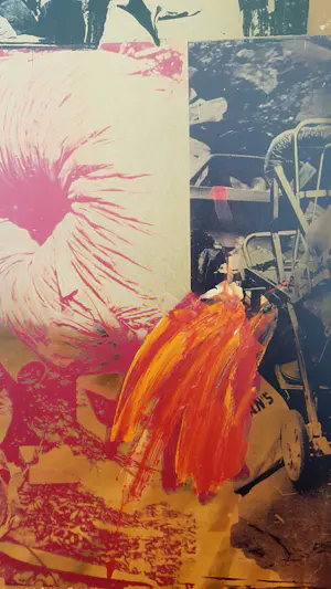 Robert Rauschenberg - nach 'Favor Rites', großer Farboffsetdruck (1994), drucksigniert kopen? Bied vanaf 58!