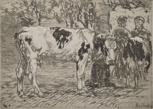 Willem de Zwart - Koemarkt kopen? Bied vanaf 40!