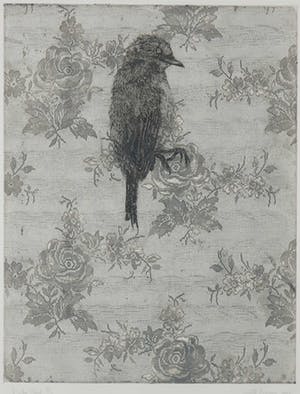 Judith Rosema - Ets, Kanten vogel - Ingelijst kopen? Bied vanaf 1!