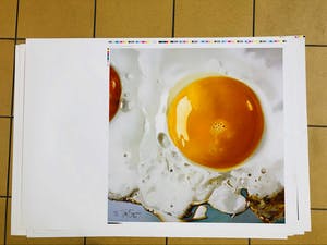 Tjalf Sparnaay - Ei/Egg kopen? Bied vanaf 350!