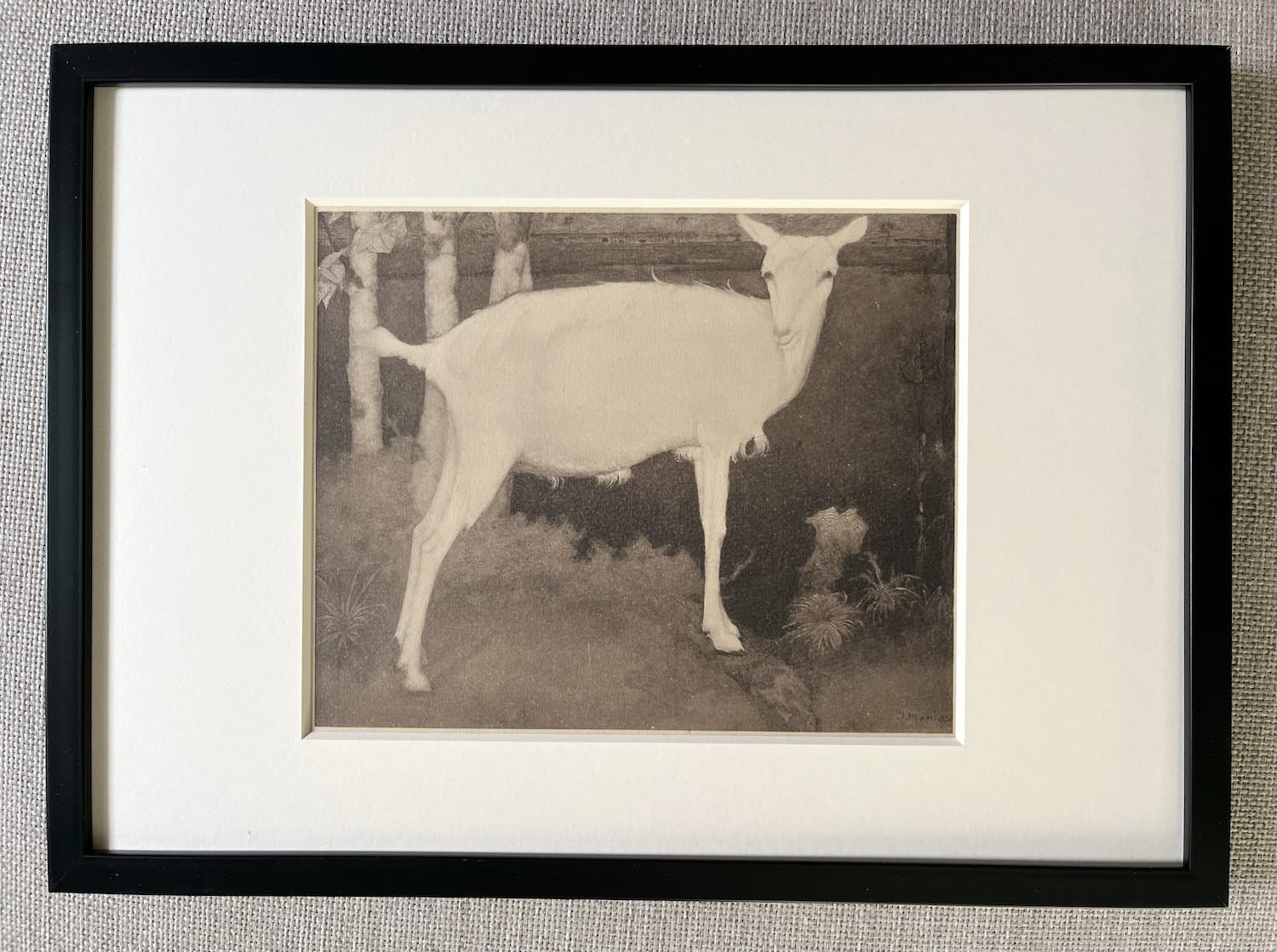 Jan Mankes - Originele Heliogravure - Jonge Witte Geit 1923 verkocht voor € 110!