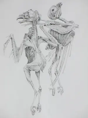 Gerard van Rooy - Danse Macabre III - Ets kopen? Bied vanaf 50!