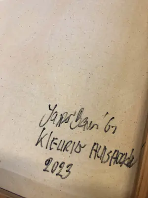 Jasper Banen - Kleurig huishouden kopen? Bied vanaf 175!