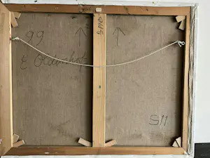 Erik Oldenhof - Titel S11 kopen? Bied vanaf 300!