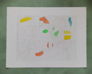 Henk Tichelaar - Grote, met ecoline gekleurde ETS "Bosprent" - kleine oplage (50) - gesignd kopen? Bied vanaf 38!