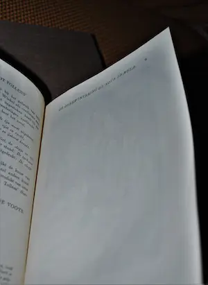 Dick van Luijn - [2 boeken] Het Grafisch Werk, genummerd, met prent & 1x met 4 houtgravures kopen? Bied vanaf 50!