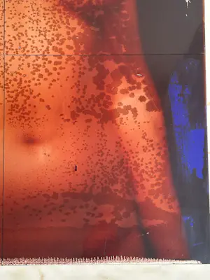 Anne Kreiter - Female Body kopen? Bied vanaf 120!