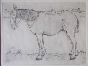 Jan Mankes - ets Paard - 1917 kopen? Bied vanaf 290!