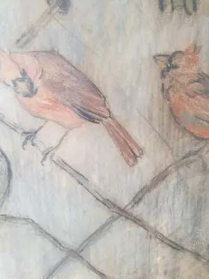 Marie van Waning-Stevels - Vogels kopen? Bied vanaf 200!