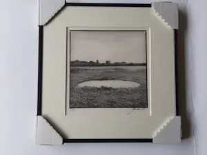 Ralph Janowski - 3 werken, van Ralph Janowski, Boom in de ochtend mist nieuw ingelijst kopen? Bied vanaf 100!