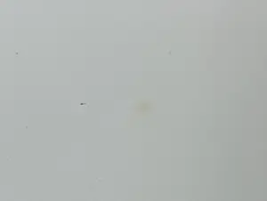 Joop Moesman - Litho, Gevallen kopen? Bied vanaf 70!