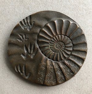 Francisca Zijlstra - 200 jaar Teylers Stichting kopen? Bied vanaf 45!