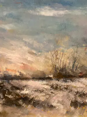 Ab Jongmans - Winter in de Peel kopen? Bied vanaf 199!