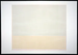 Leon Arninkhof - Kleurenets, Zee III kopen? Bied vanaf 1!