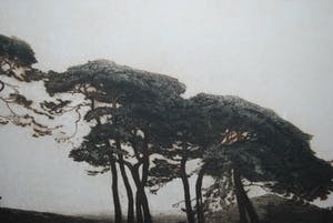 Tjeerd Bottema - Schaapskooi bij Ede - Ingelijste kleurets & aquatint - Incl.kunstboek Mijn Leven kopen? Bied vanaf 65!