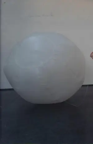 Panamarenko - Bernoulli kopen? Bied vanaf 300!