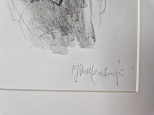 Jan Mensinga - in zeer kleine oplage (7) gemaakte monochrome lithografie "hanengevecht" kopen? Bied vanaf 35!