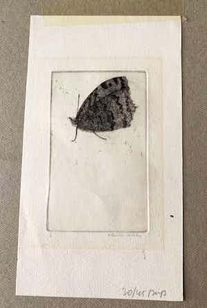 Charles Donker - Vlinder. verkocht voor € 45!