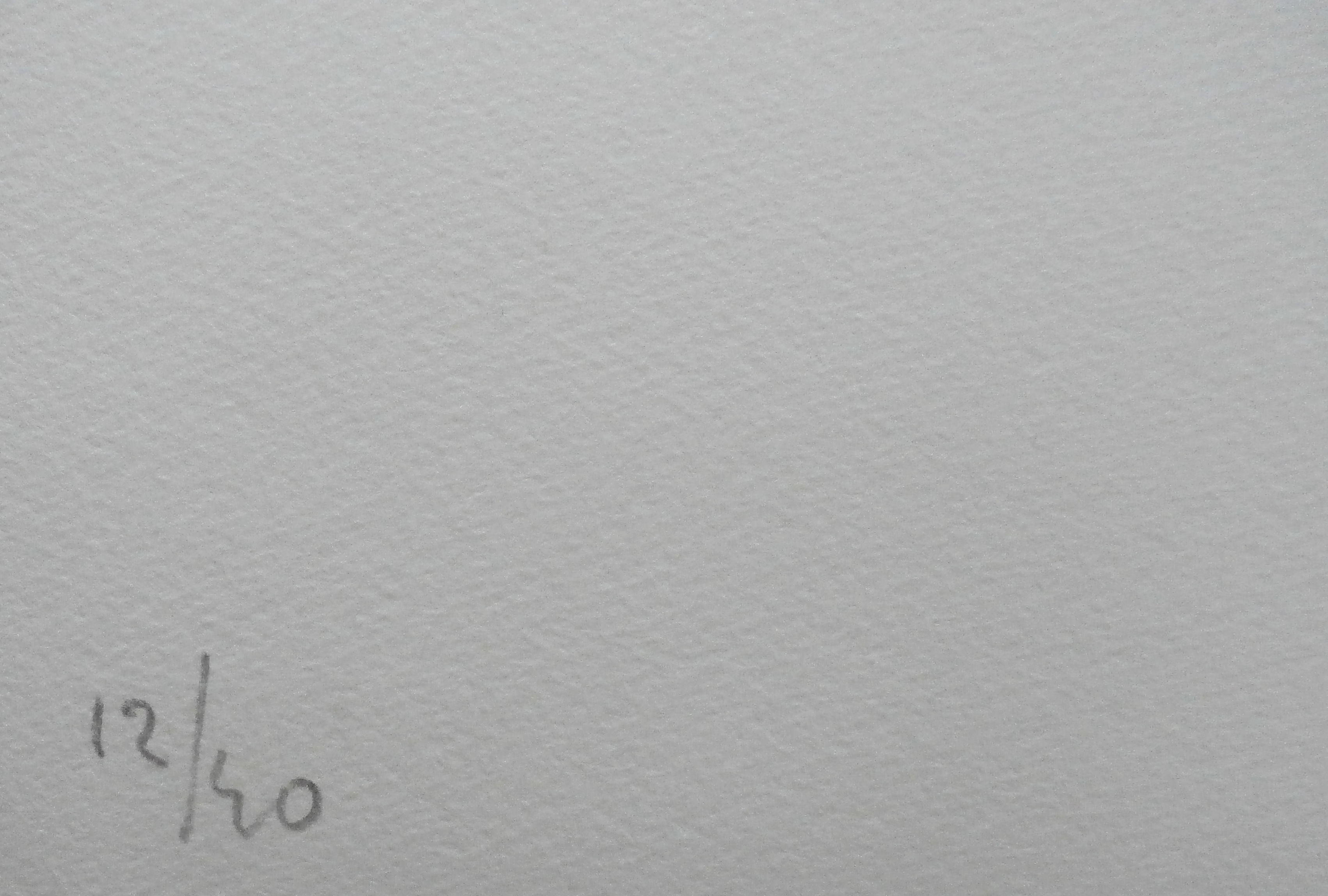 Jon Marten - litho: abstract kopen? Bied vanaf 35!