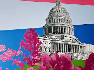 Franco Costa - Originele z.g.a.n. Zeefdruk 1978 serie "Washington capitol hill " gesigneerd kopen? Bied vanaf 58!