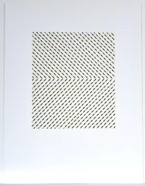 Walter Leblanc - Torsions - Zeefdruk - Gesigneerd - 54x42 cm - 1977 kopen? Bied vanaf 99!