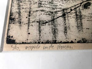 Werner Moonen - 'Vogels in de Storm' - handgesign. GROTE ets / Barth Lijst- Kleine oplage 1964 kopen? Bied vanaf 250!