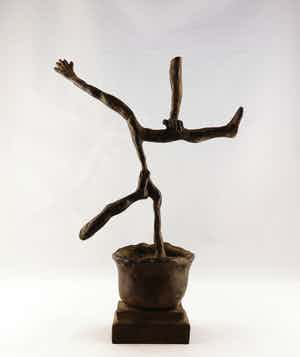 Emile van der Kruk - Brons, DNA-plant verkocht voor € 150!