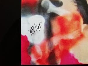 Peter Klashorst - Pop Art (2 verschillende) kopen? Bied vanaf 60!