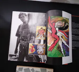 Pablo Picasso - Unbekante Gemalde und Zeichungen + OOG in OOG kopen? Bied vanaf 70!