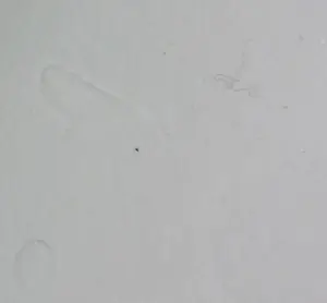 Ilene Themen - Zeefdruk, Figure Scape II - Ingelijst kopen? Bied vanaf 50!