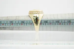 48 - Fraai bewerkte en massief 18 karaats geel gouden ring - Versace model kopen? Bied vanaf 700!