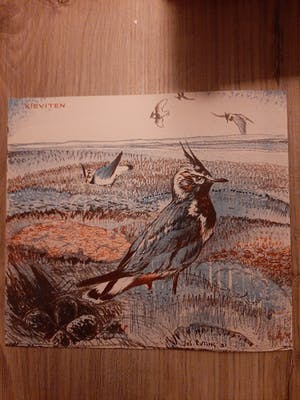 Jos Ruting - 8 platen kopen? Bied vanaf 20!