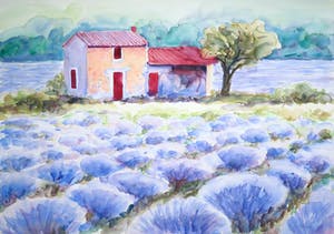 Jurjen Fontein - Aquarel op papier, Lavendel kopen? Bied vanaf 1!