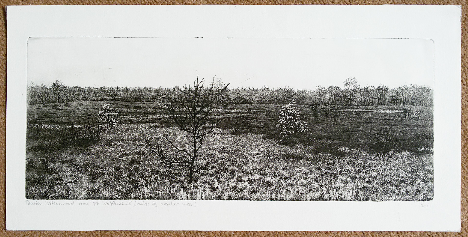 Paulien Wittenrood - Wolfheze IV (heide bij donker weer), ets kopen? Bied vanaf 30!