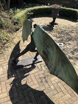 Charles Henri - Leonardo’s droom kopen? Bied vanaf 5000!