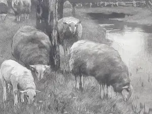 Willem Steelink (jr.) - Boer met schapen aan slootkant. kopen? Bied vanaf 49!