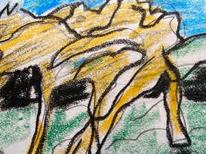 Jan Sierhuis - Tekening krijt verkocht voor € 1!