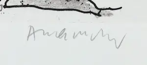 Pierre Alechinsky - Oeuvrecatalogus met litho omslag en losse ets, 20 Jahre Impressionen kopen? Bied vanaf 200!