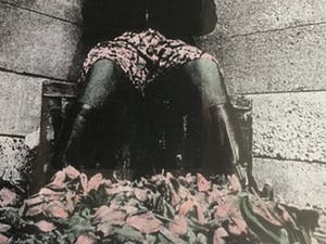 Jan Stijnman - De tulpenkoningin kopen? Bied vanaf 20!