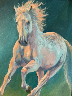 Niet of onleesbaar gesigneerd - paard in galop kopen? Bied vanaf 1!