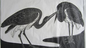 Jan Schonk - 2 houtsnedes "Kaketoe" en "twee reigers". kopen? Bied vanaf 35!