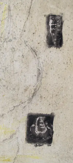 Alexis Gorodine - Coque kopen? Bied vanaf 45!