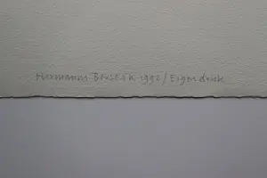 Herman Berserik - Monochrome 1992 Ets "Land in zicht" - uniek eigen druk exemplaar kopen? Bied vanaf 36!