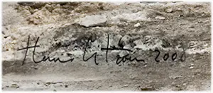 Hans Citroen - Krupp Werke KZ Auschwitz 1 kopen? Bied vanaf 200!