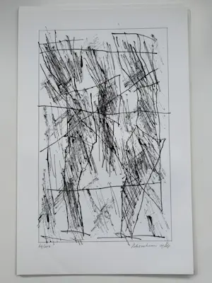 Jan Schoonhoven - Formatie 12 Zeefdrukken in Portfolio. Allen handgesigneerd (Zeldzaam). kopen? Bied vanaf 2950!